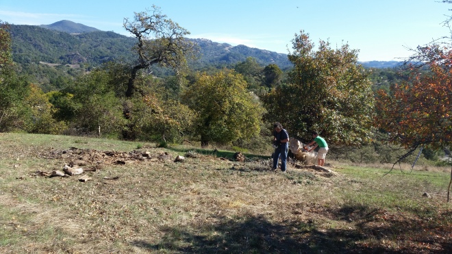 Jacob and Randy bucking up a fallen oak on a hot November day... it was hard to imagine needing all the firewood with it being 80 degrees and all. Meanwhile I lugged all that wood from the ground to the trucks.